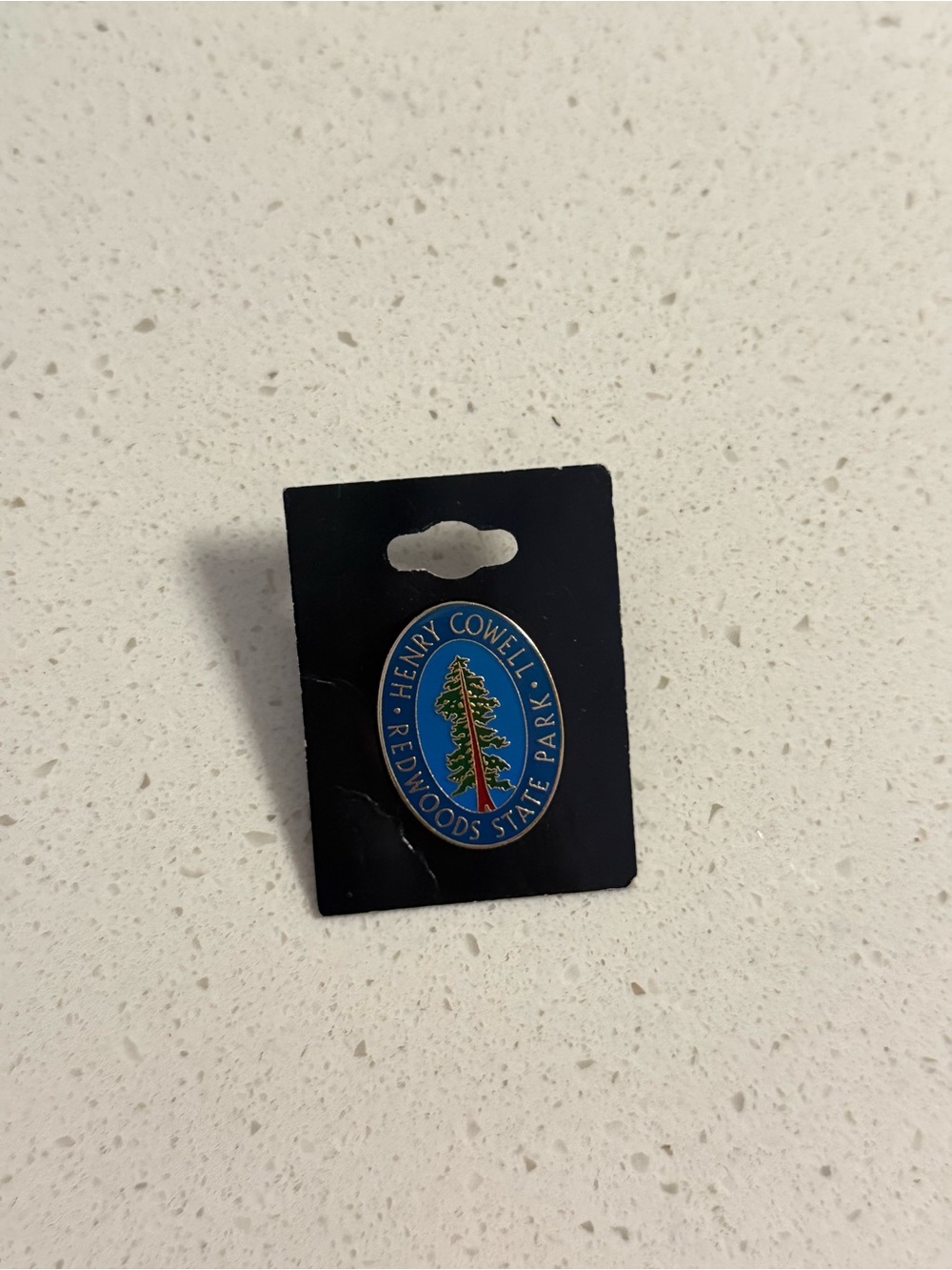 Henry Cowell Redwoods State Park Enamel Pin - Blue, Green